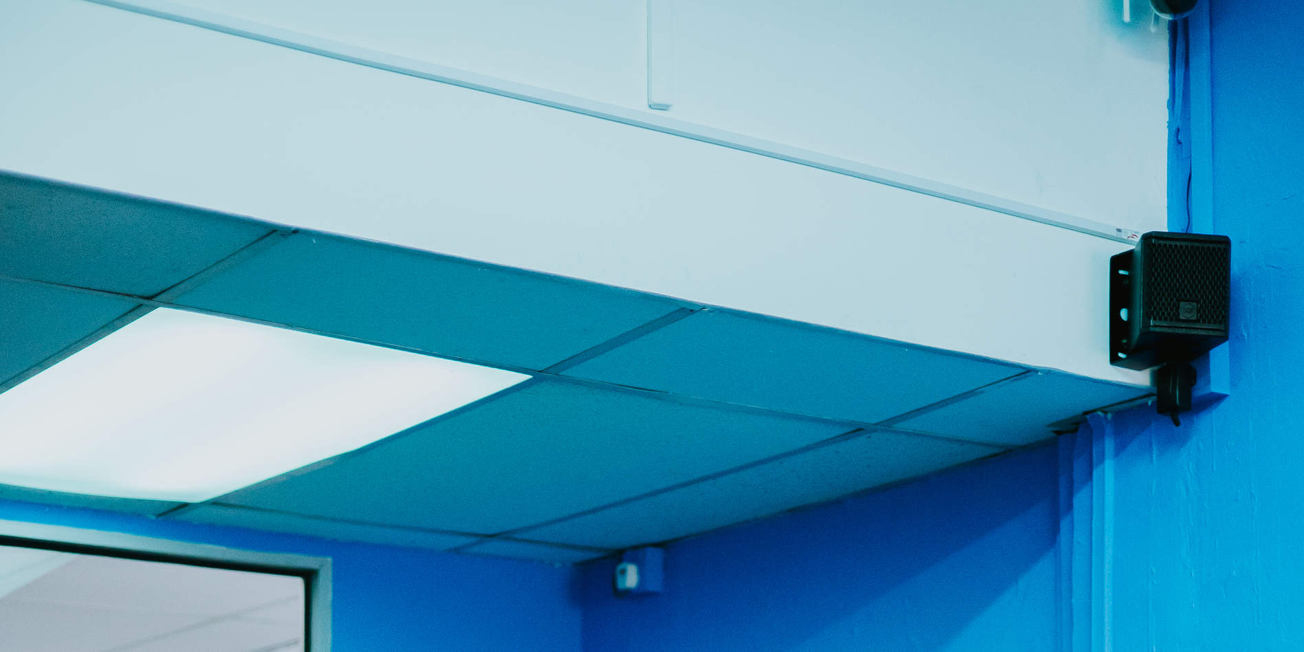 Bienal de Singapur 2025: Pura Intención