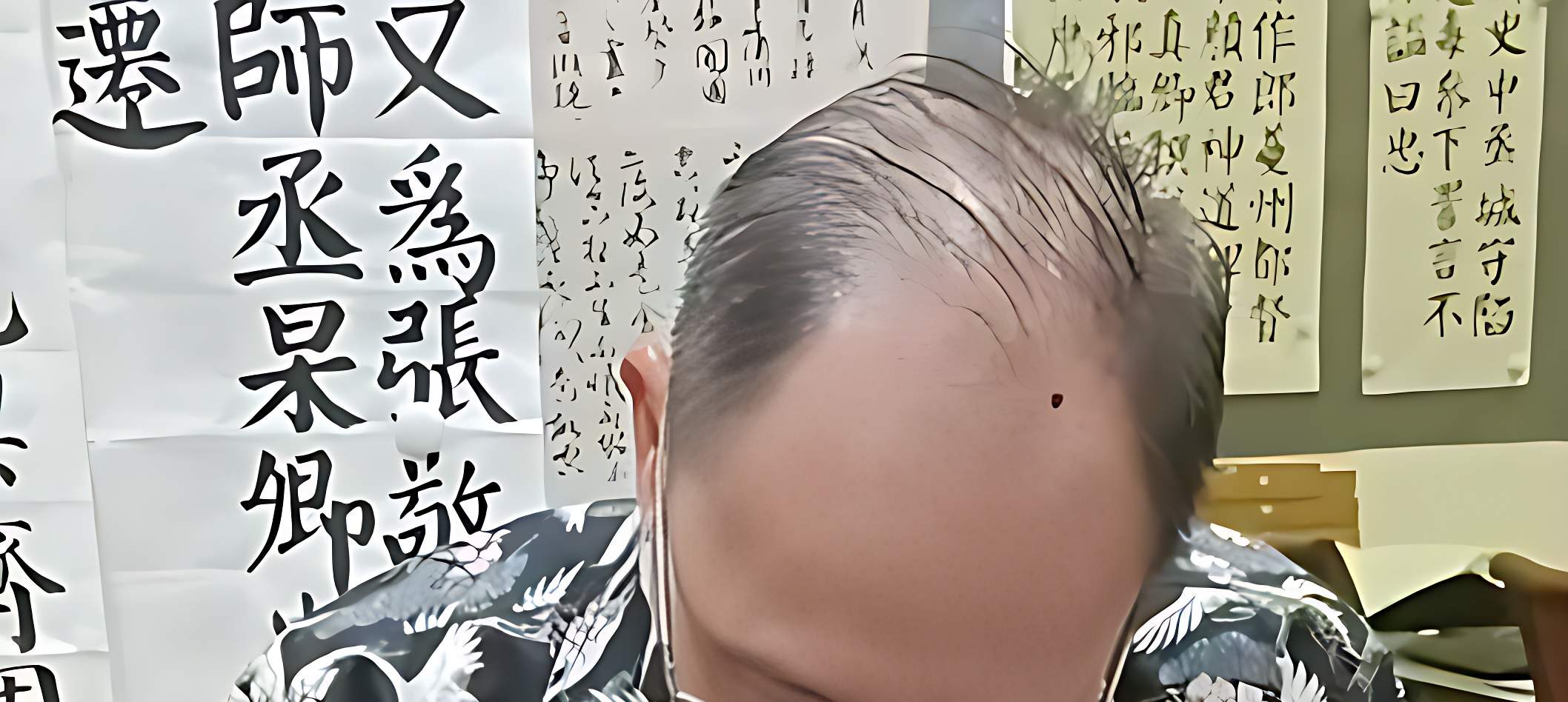 笔墨的艺术：中国传统书法入门