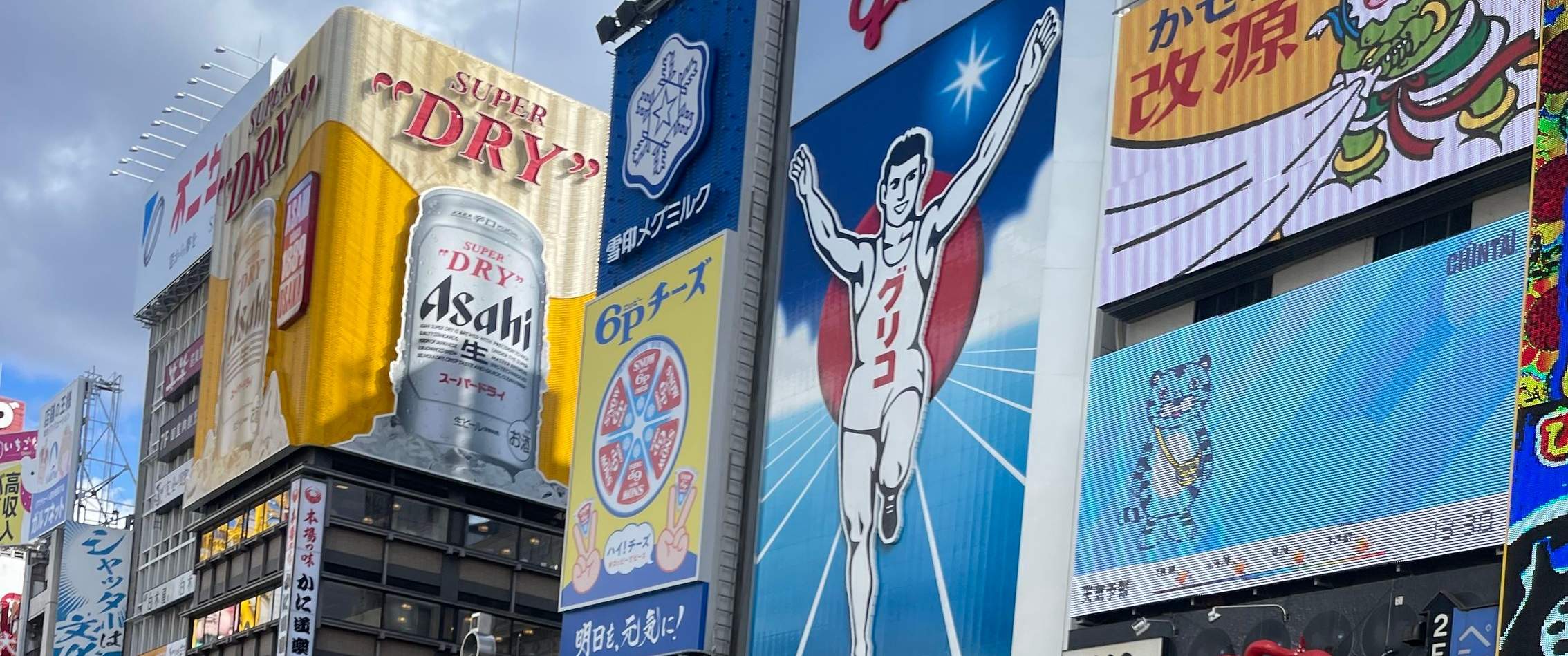 Esperienza in crociera nella città di Osaka