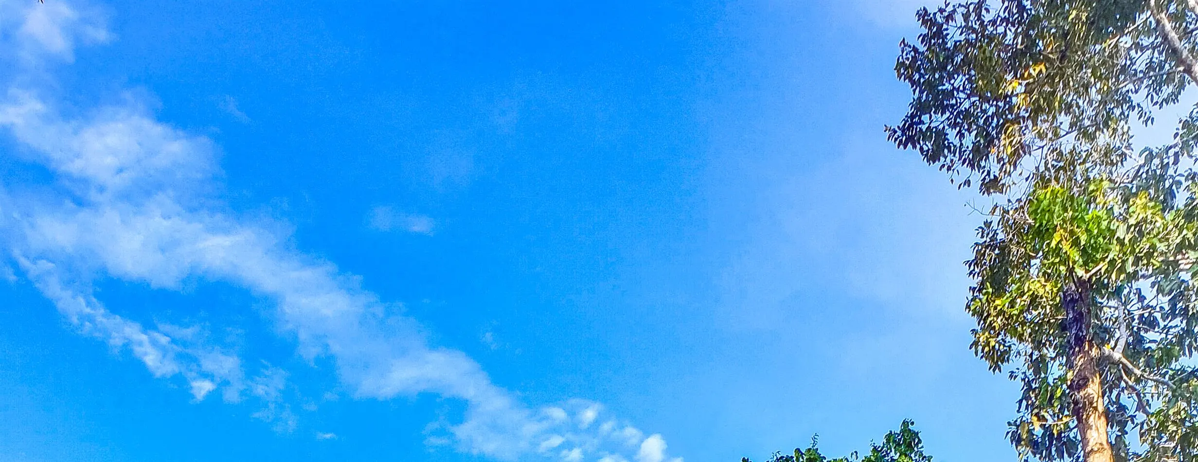 参观具有独特历史的寺庙
