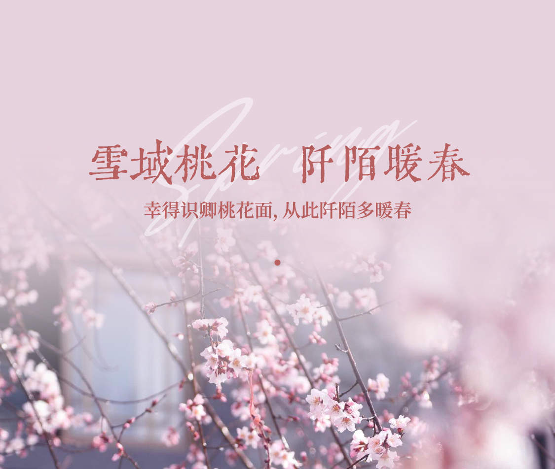 Tibetan Peach Blossom Klook Singapore tibetan-peach-blossom-klook-singapore