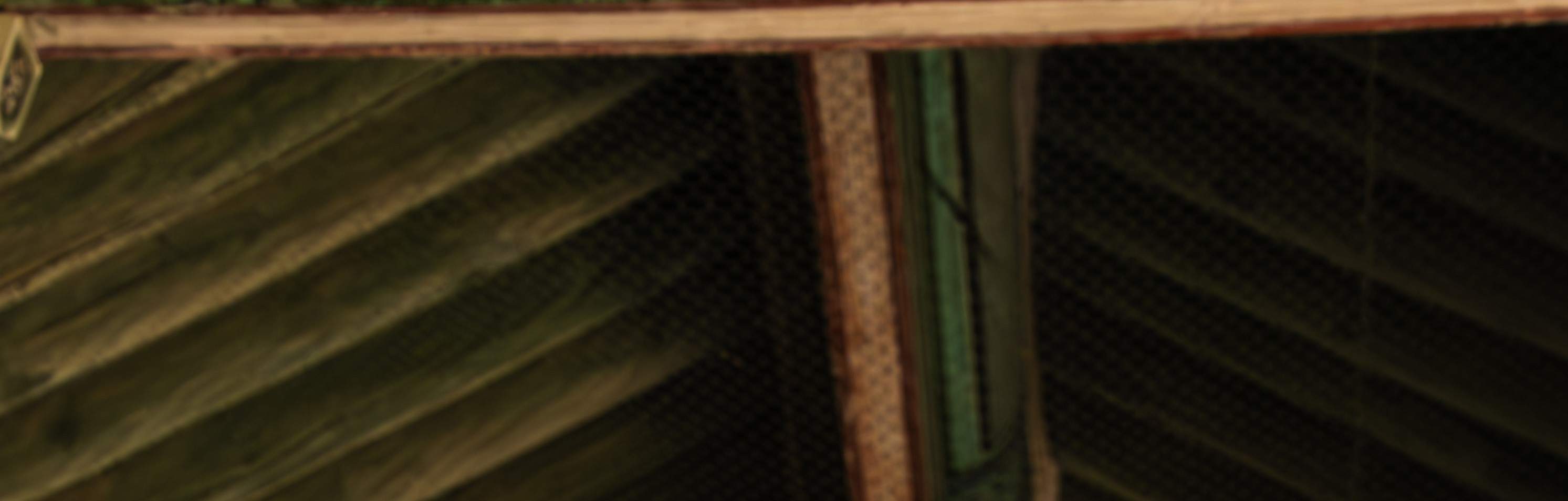 Seoul : Sesi fotografi Hanbok di Istana