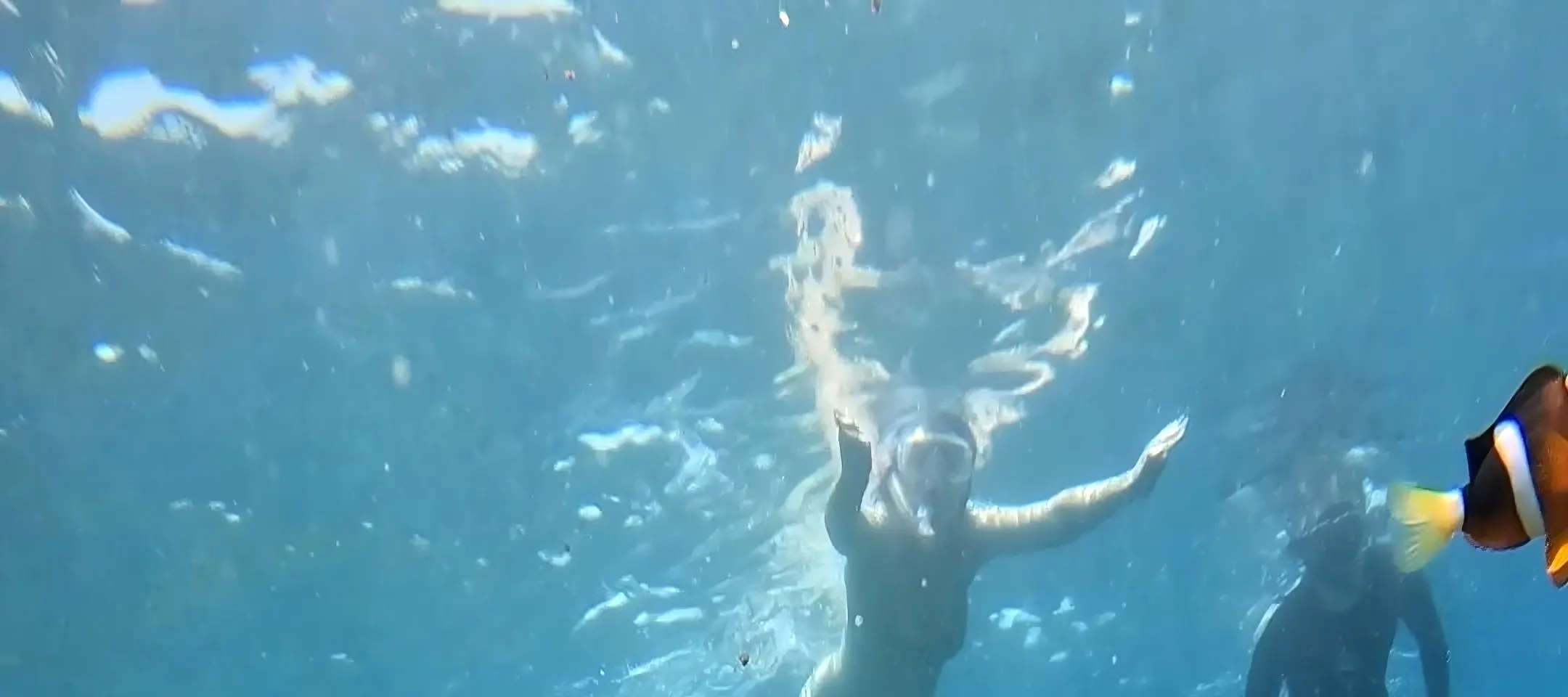 龙目岛秘密岛屿私人浮潜（带 GoPro 拍摄）