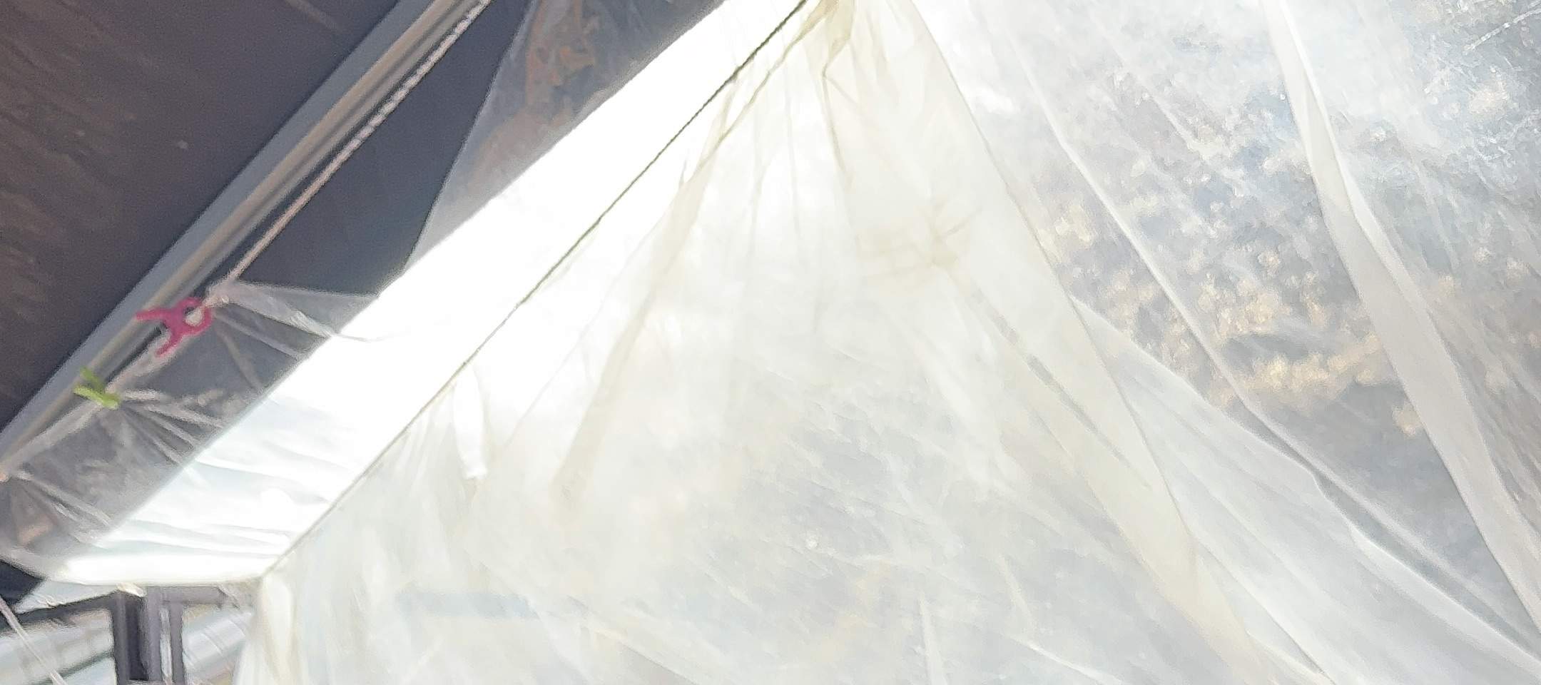 Добро пожаловать в Корею! Сегодня мы собираемся насладиться одним из самых любимых корейских блюд — корейским барбекю, прямо здесь, в Пусане.