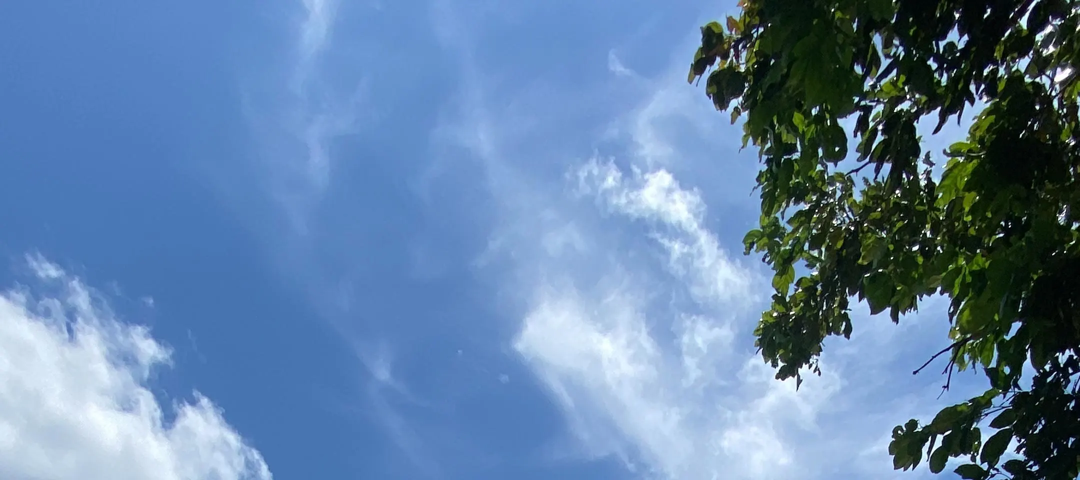 选择您的皮划艇（单人或双人）