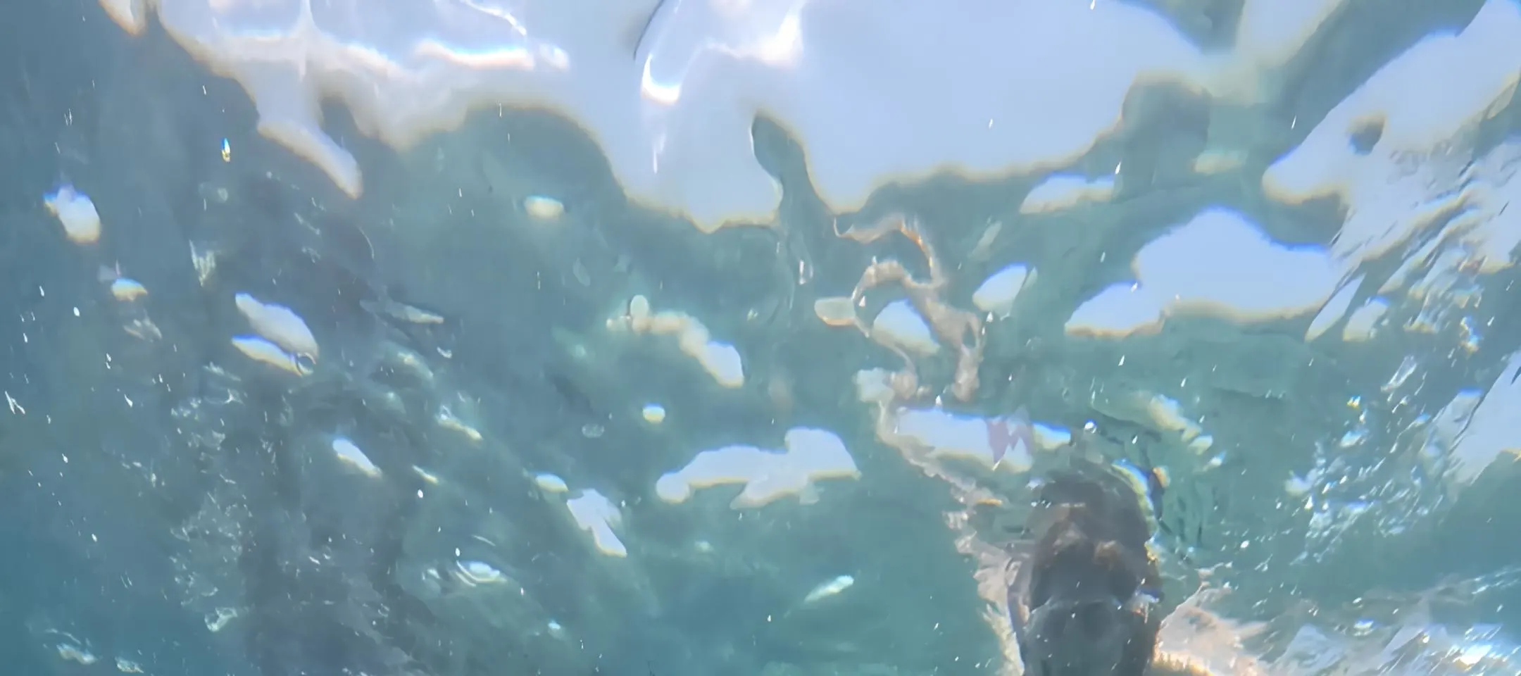 龙目岛秘密岛屿私人浮潜（带 GoPro 拍摄）