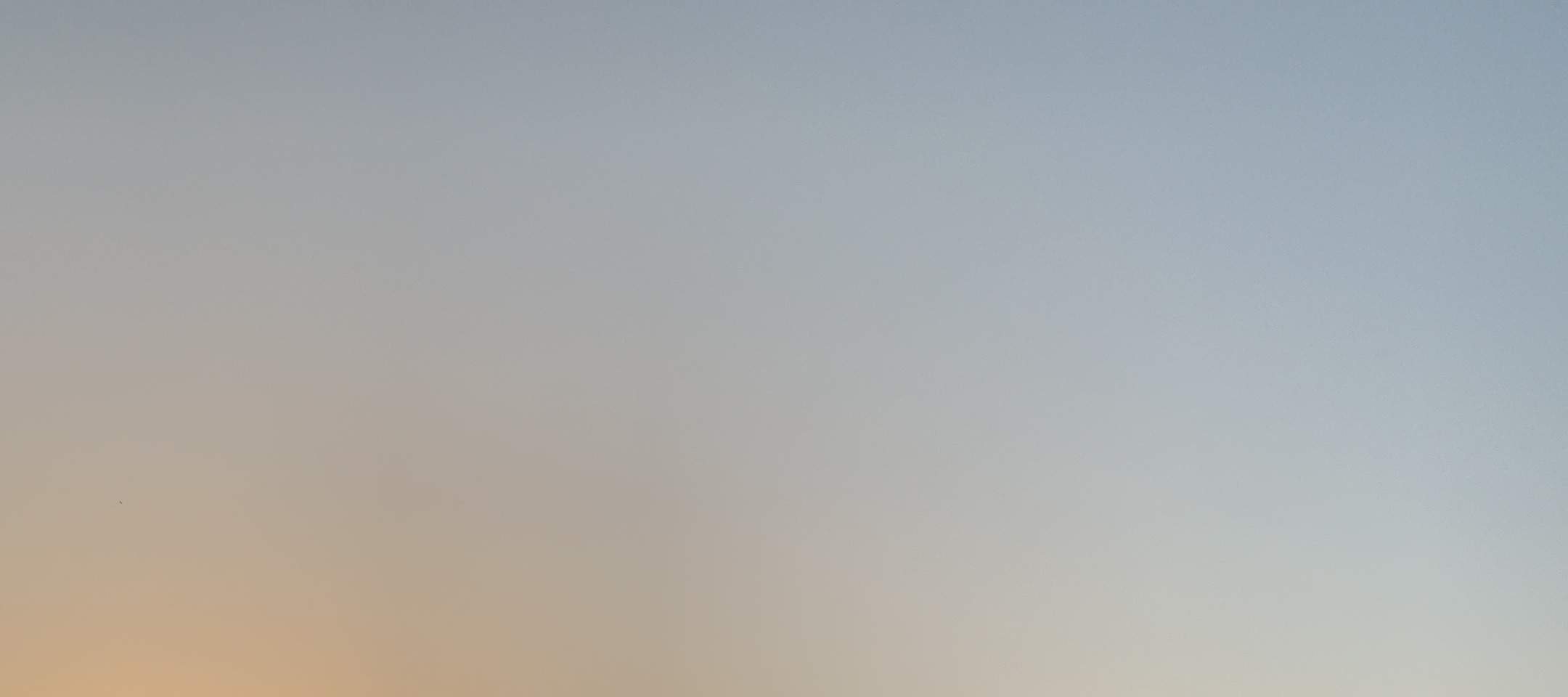 夕阳游艇巡航：美酒、音乐、小吃与趣味知识