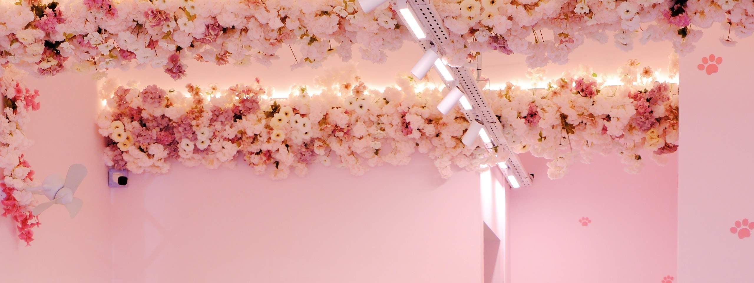 Tanto spazio per grandi gruppi, divertimento per tutti!