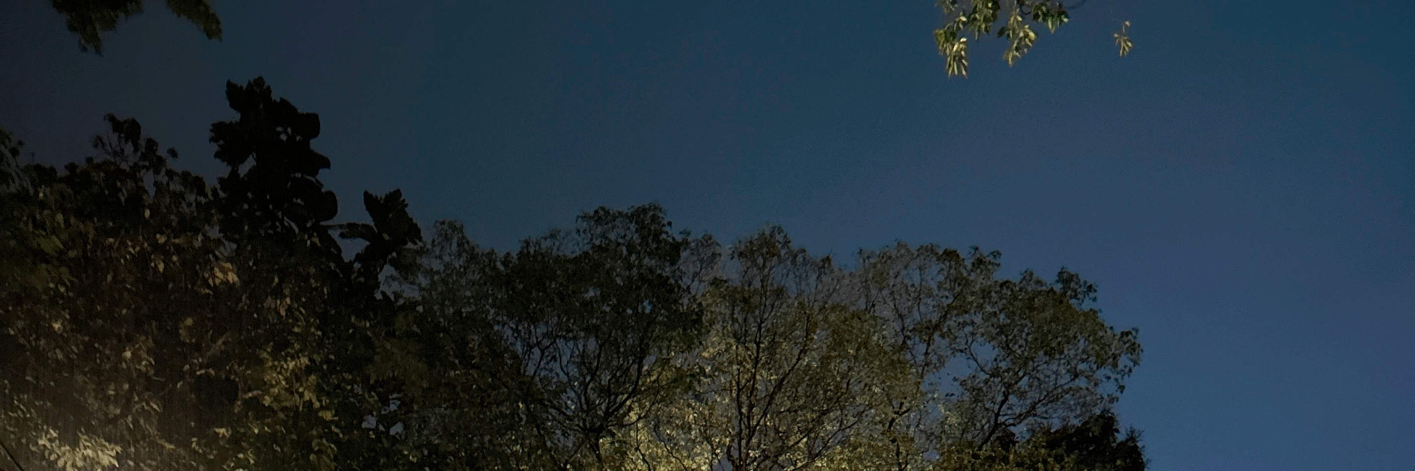 Hutan Mandian Air Panas Taman Rekreasi Jiaoxi