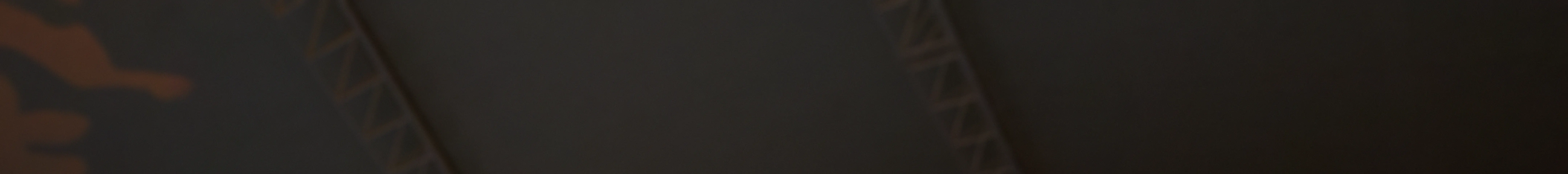 「夜晚的精靈」動物表演