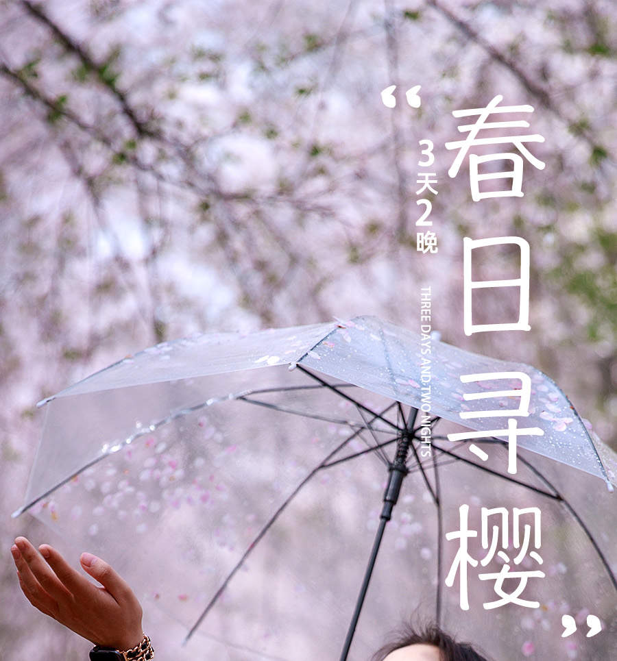 桜限定】貴州平坡桜 2泊3日（貴陽空港・駅送迎+平坡万ムー桜園+黄果樹 