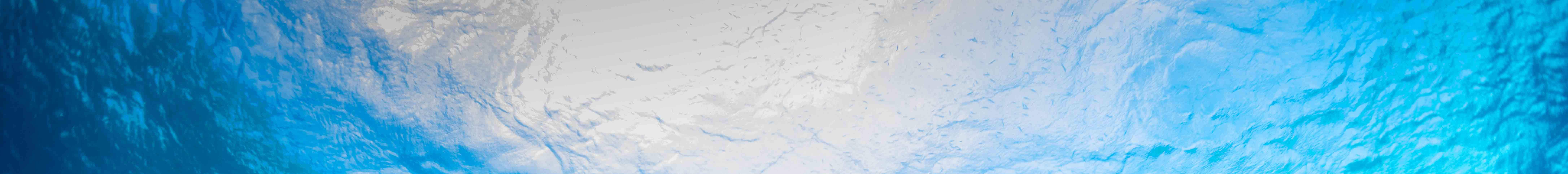 PADI Discover Scuba Diving