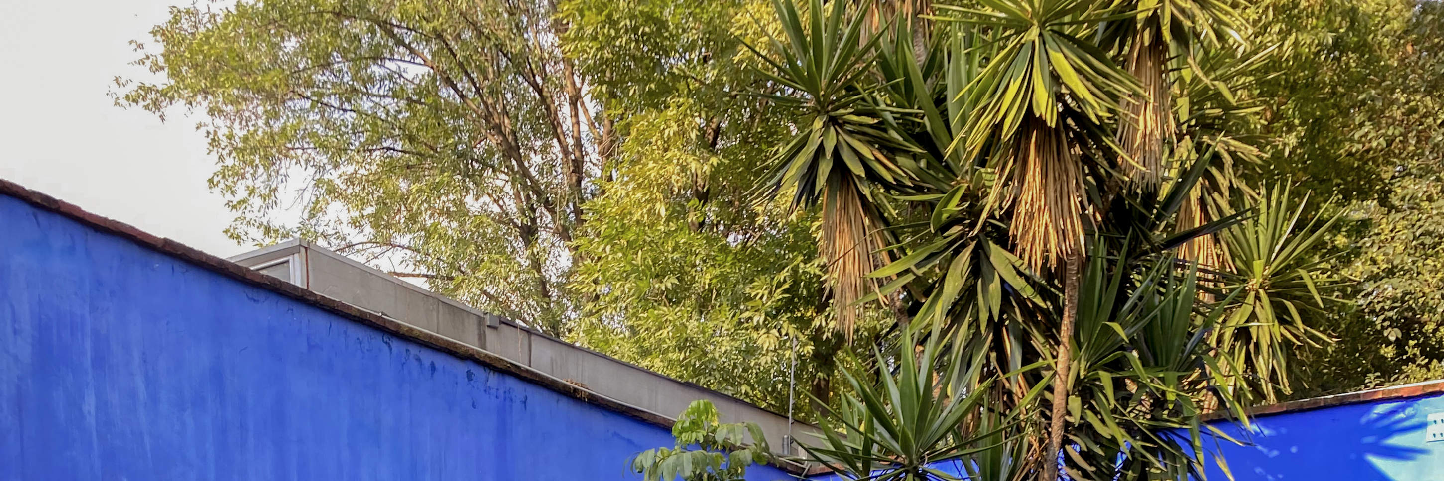 Frida Kahlo Museum Ticket