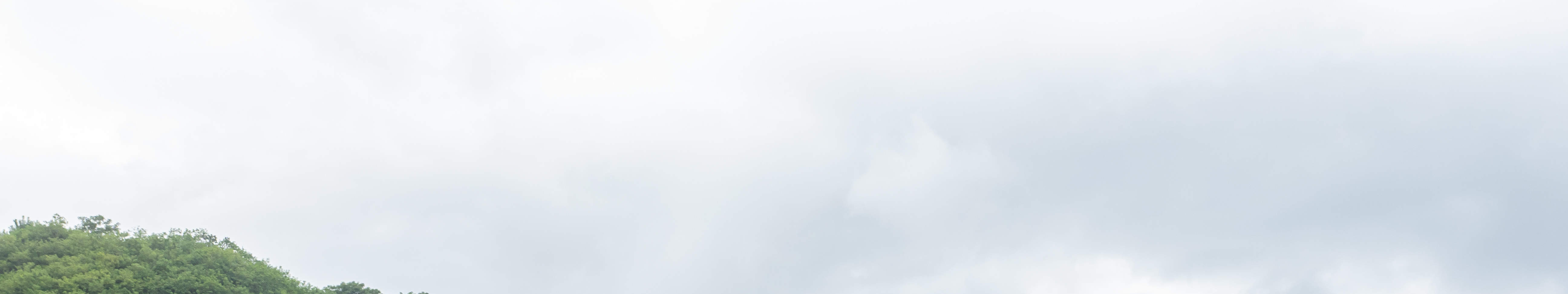 PADI Open Water Diver (E-learning)