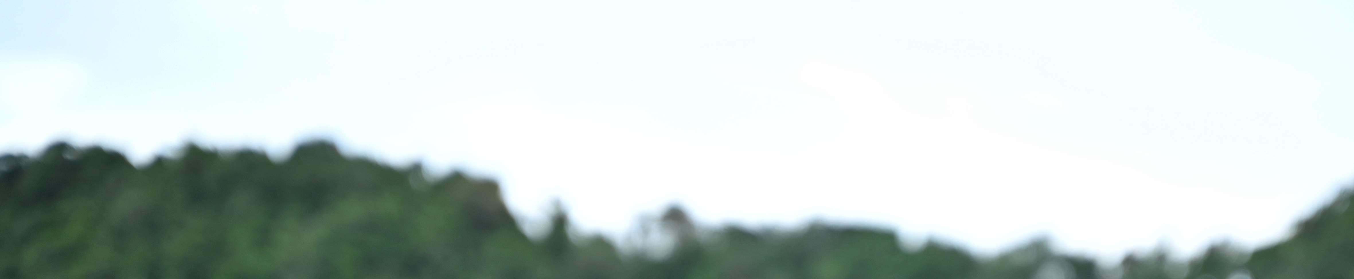 หลักสูตรนางเงือกขั้นพื้นฐาน