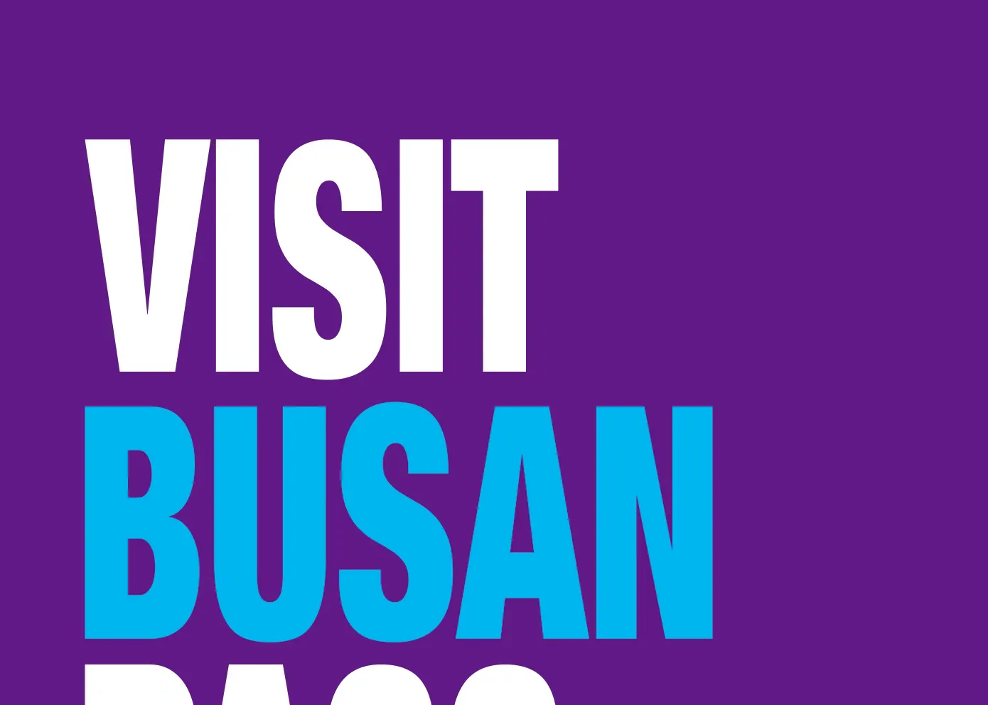 釜山通行证（Visit Busan Pass）