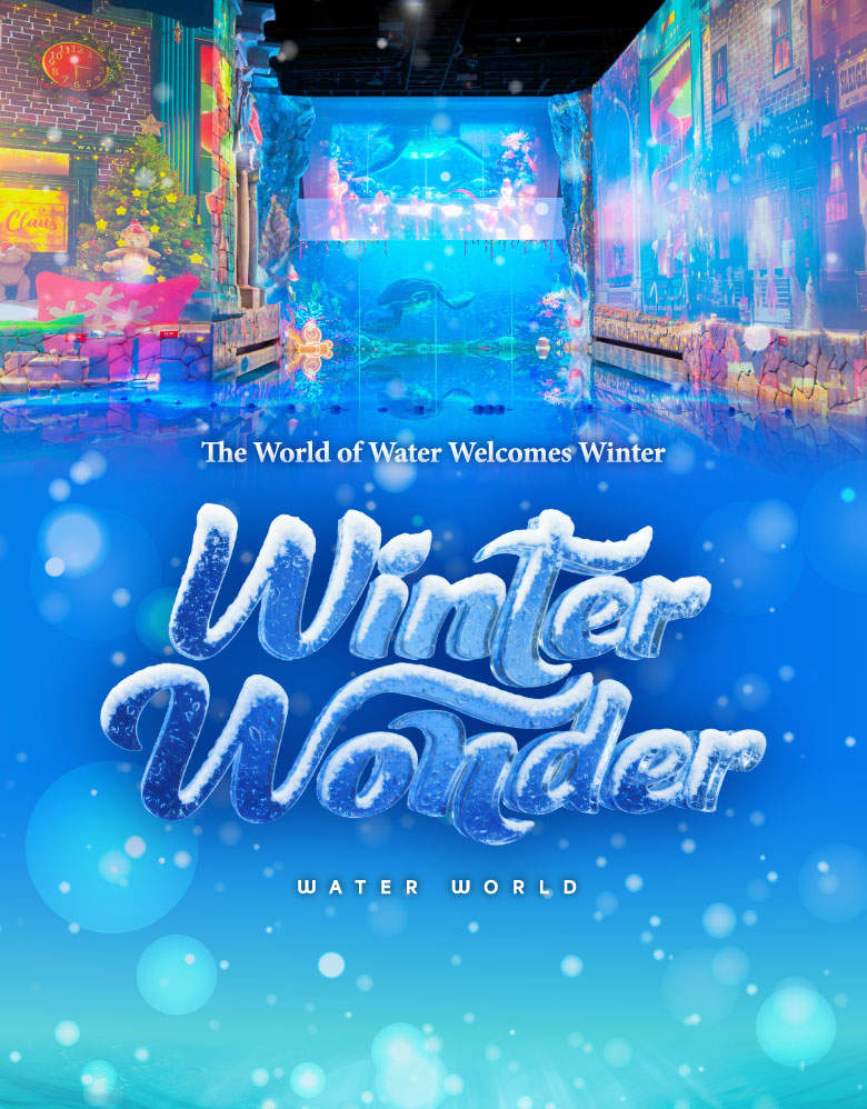 Билет в цифровой тематический парк Waterworld на Чеджу