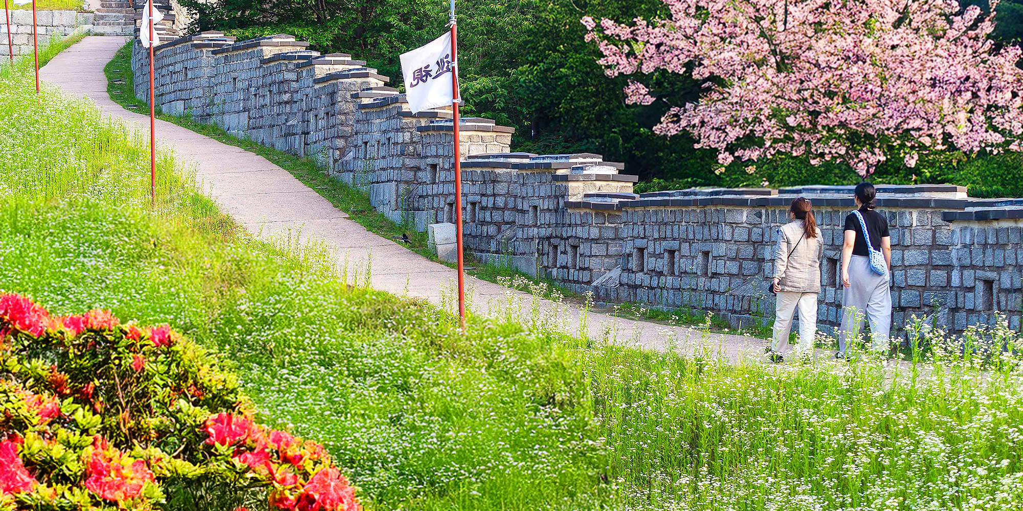 Suwon Hwaseong Day Tour from Seoul: UNESCO, Hanok, Colorful Views