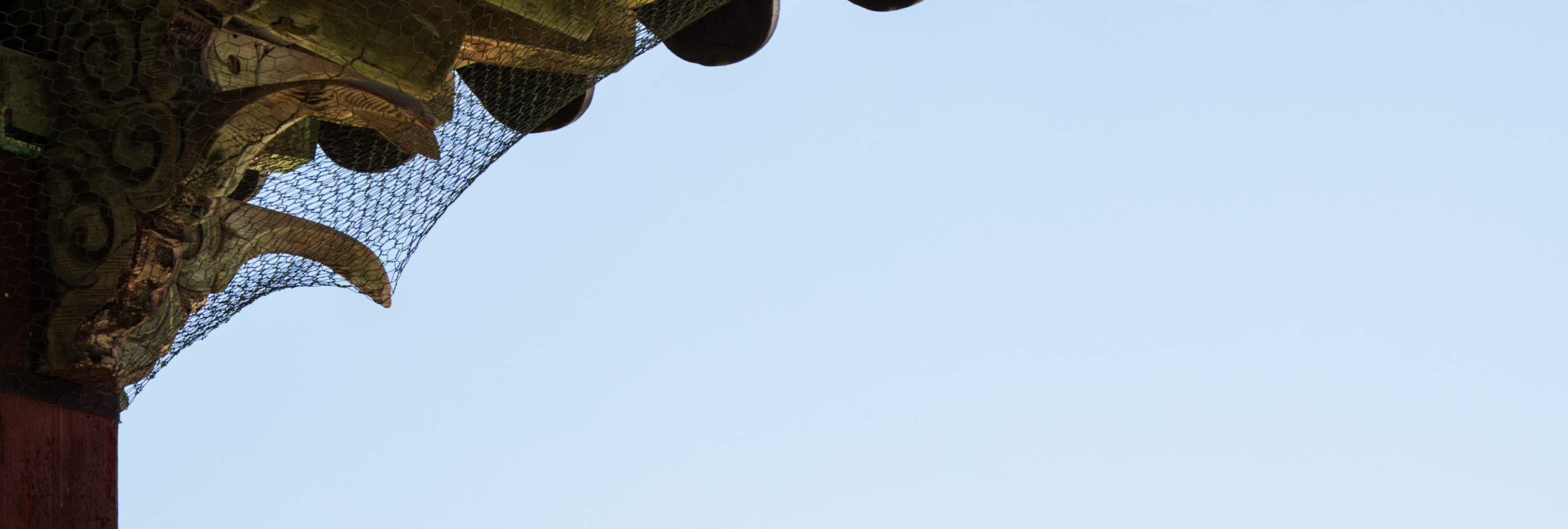 Seoul: Servizio fotografico in Hanbok nei palazzi