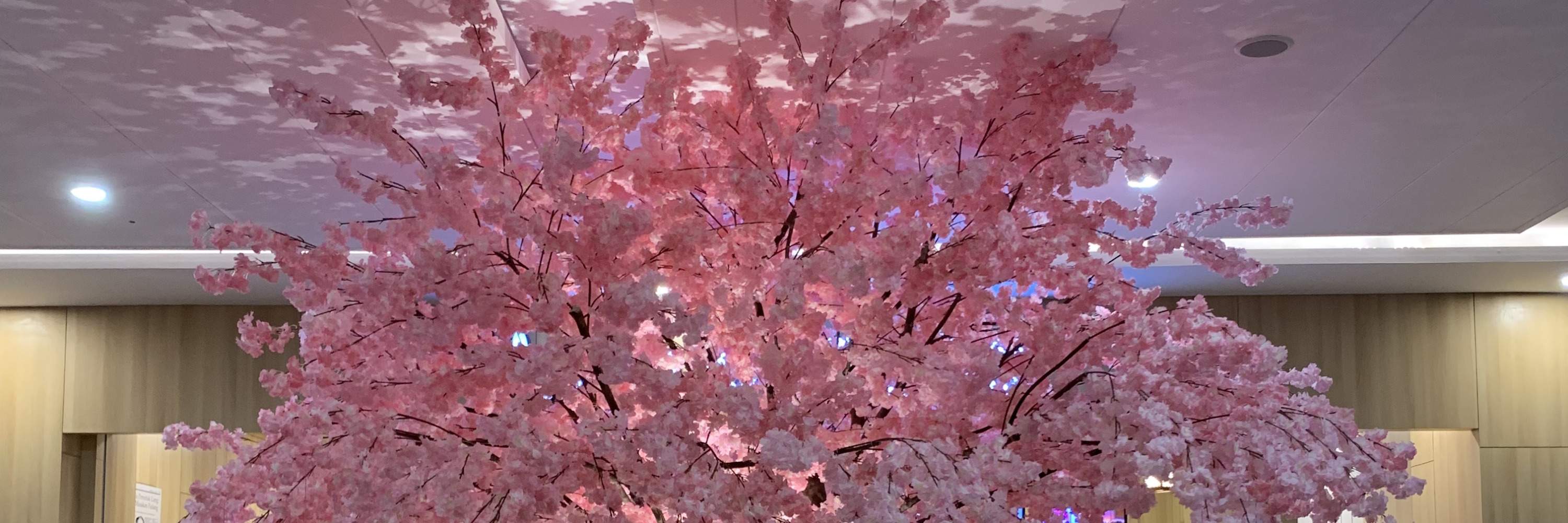 Interni del centro massaggi Kokuo family Bali