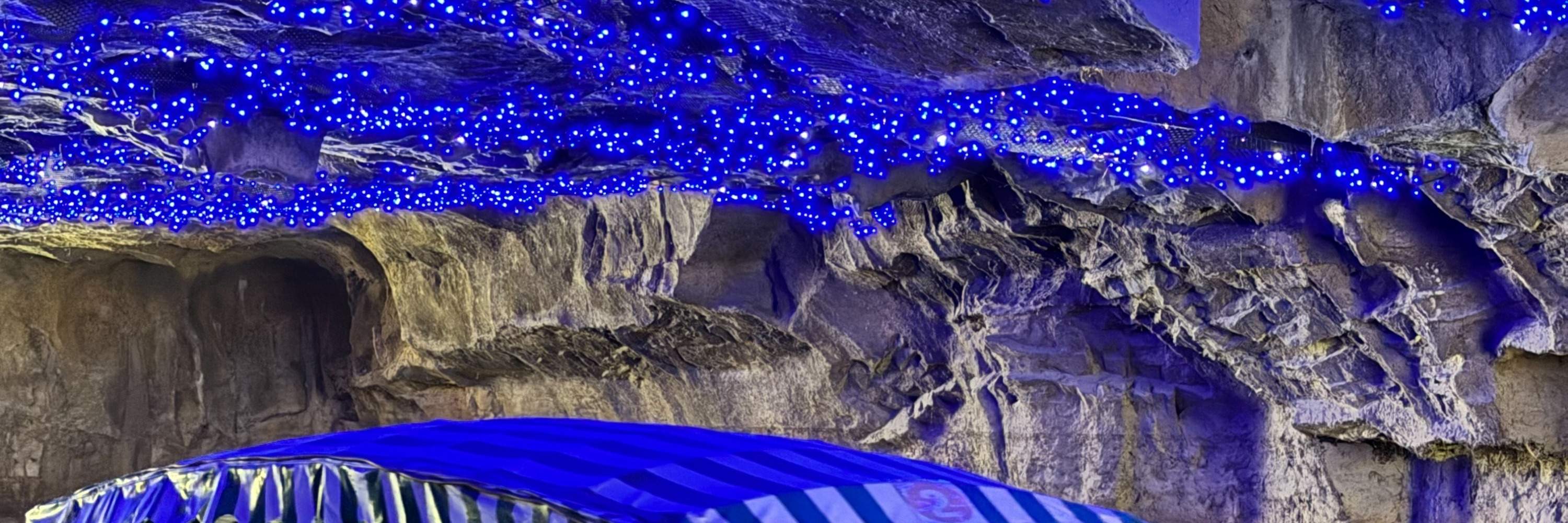 宜蘭：冬山河生態緑舟電動船 & 水上自転車