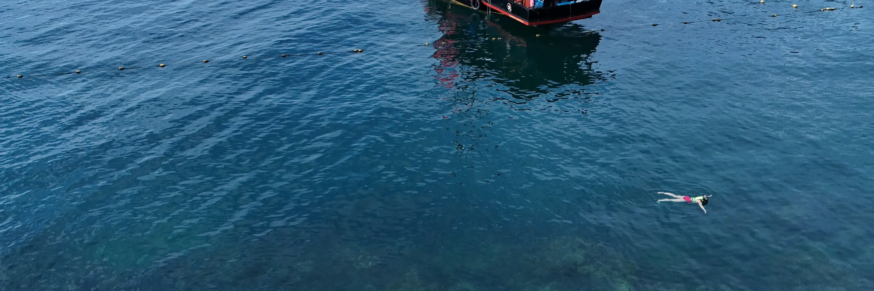 4 岛浮潜日落之旅 + 生物发光夜泳。