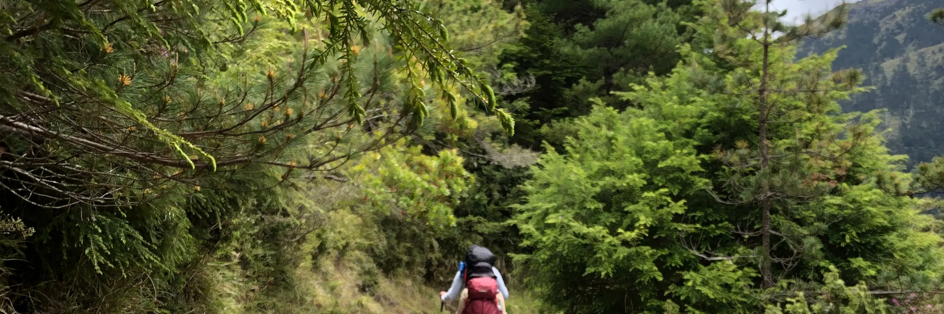 登山包车接驳: 奇莱南华登山口 (台北/新竹/台中出发)