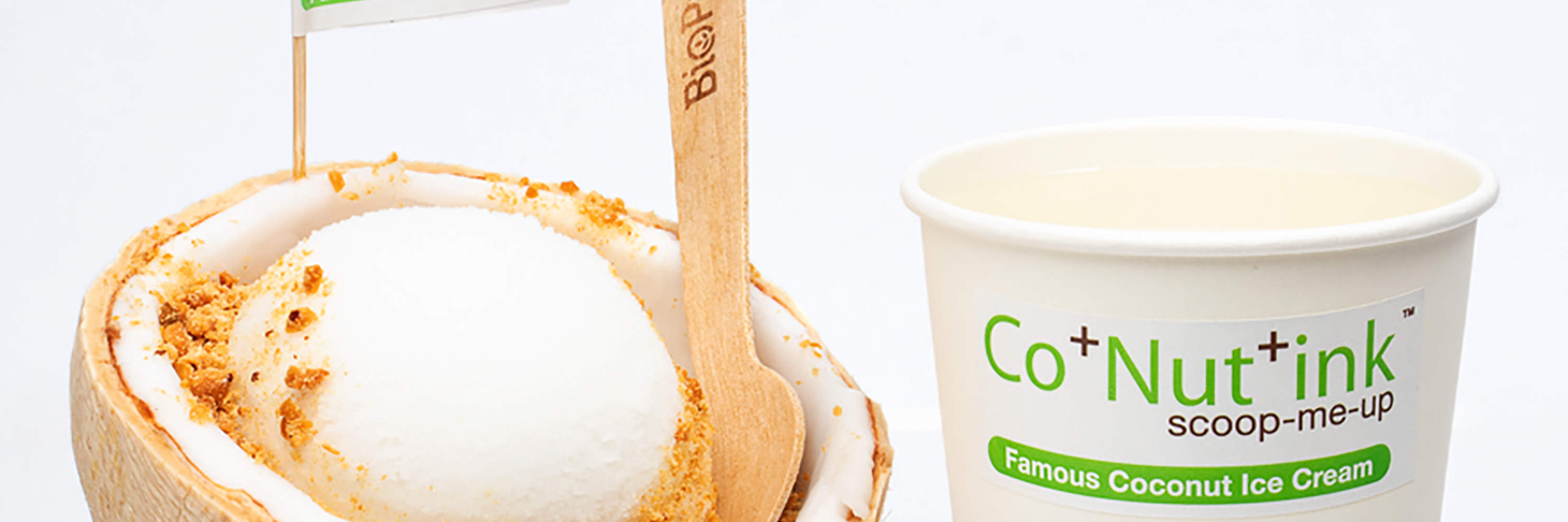 Co+Nut+Ink in Sentosa, Esplanade and Orchard, Singapore Klook Singapore