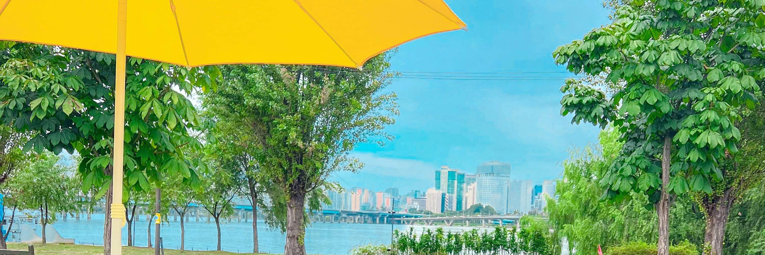 Picnic Equipment Rental Service at Han River in Seoul (Banpo) - Klook