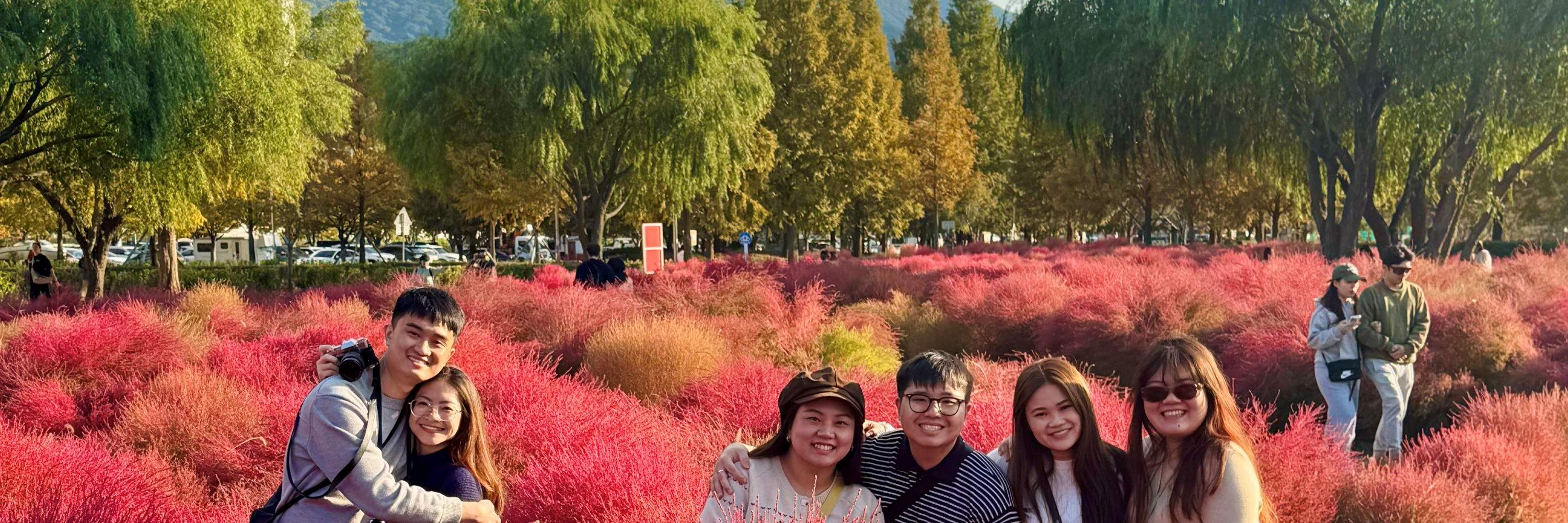 Visite privée de Busan avec un guide touristique agréé + véhicule privé