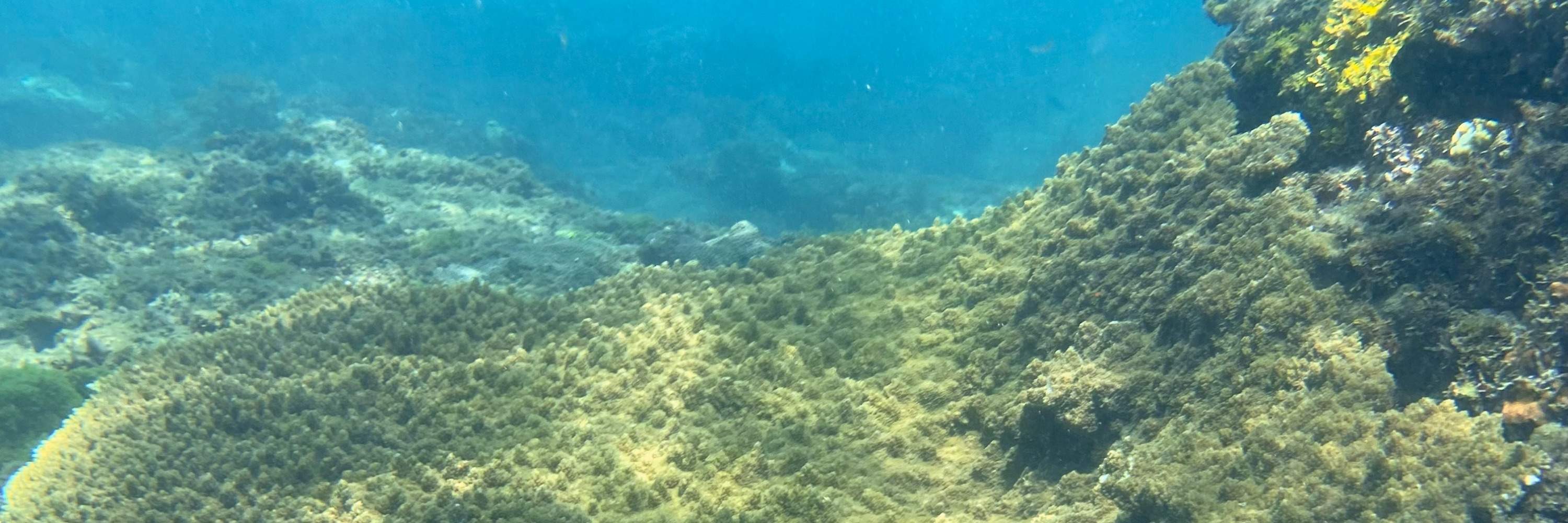 Gongliao, New Taipei: Pulau Emas dan Perak Aodi - Catatan Perahu Pulau - SUP / Kano / Snorkeling / Fotografi Lensa Tunggal