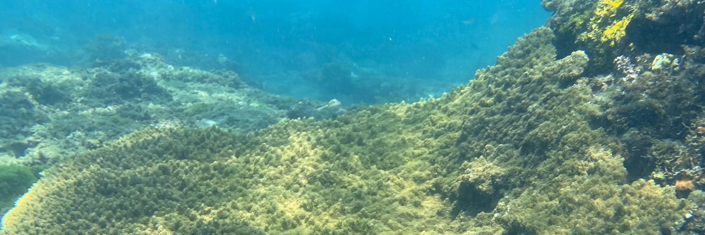 新北贡寮: 澳底金银岛 - 海岛舟记 - SUP / 独木舟 / 浮潜 / 单眼摄影