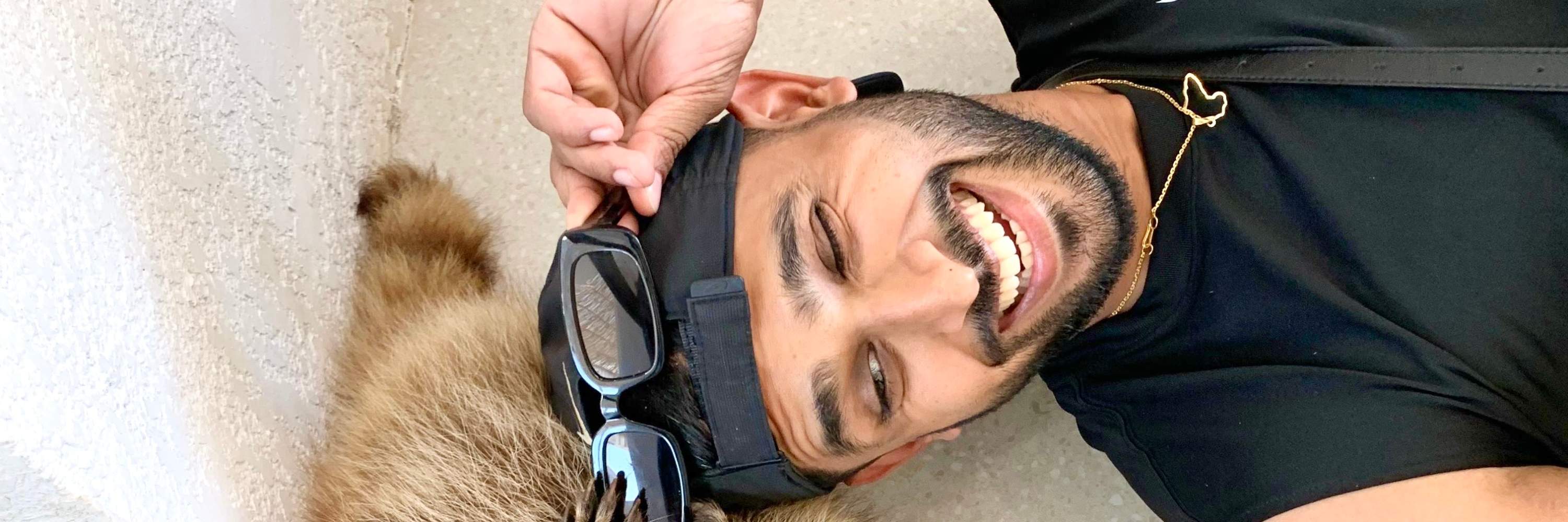 Waschbär-Haustier-Nirwana