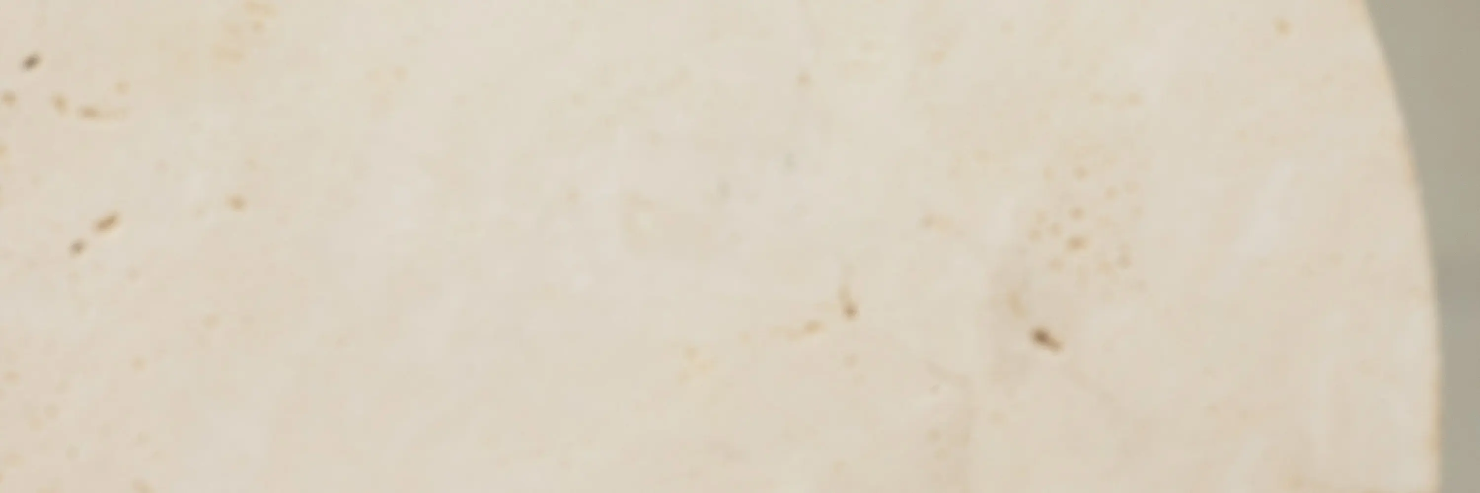 高级奢华设计 Line2
