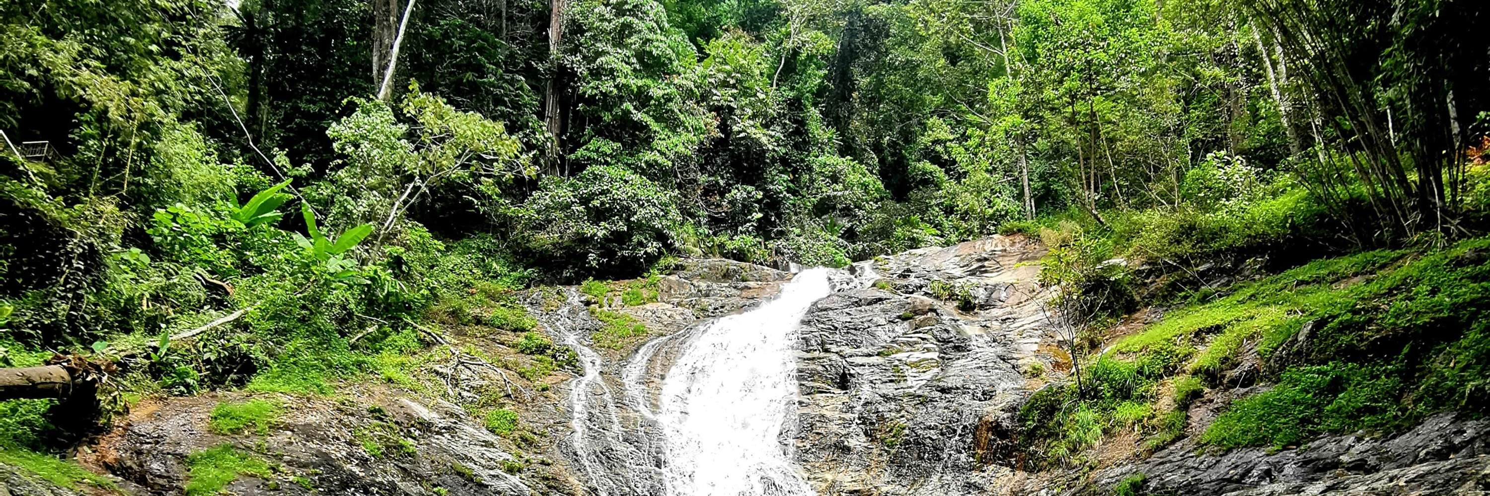 3D2N Cameron Highlands Tour From Singapore Klook Singapore 3d2n-cameron-highlands-tour-from-singapore-klook-singapore