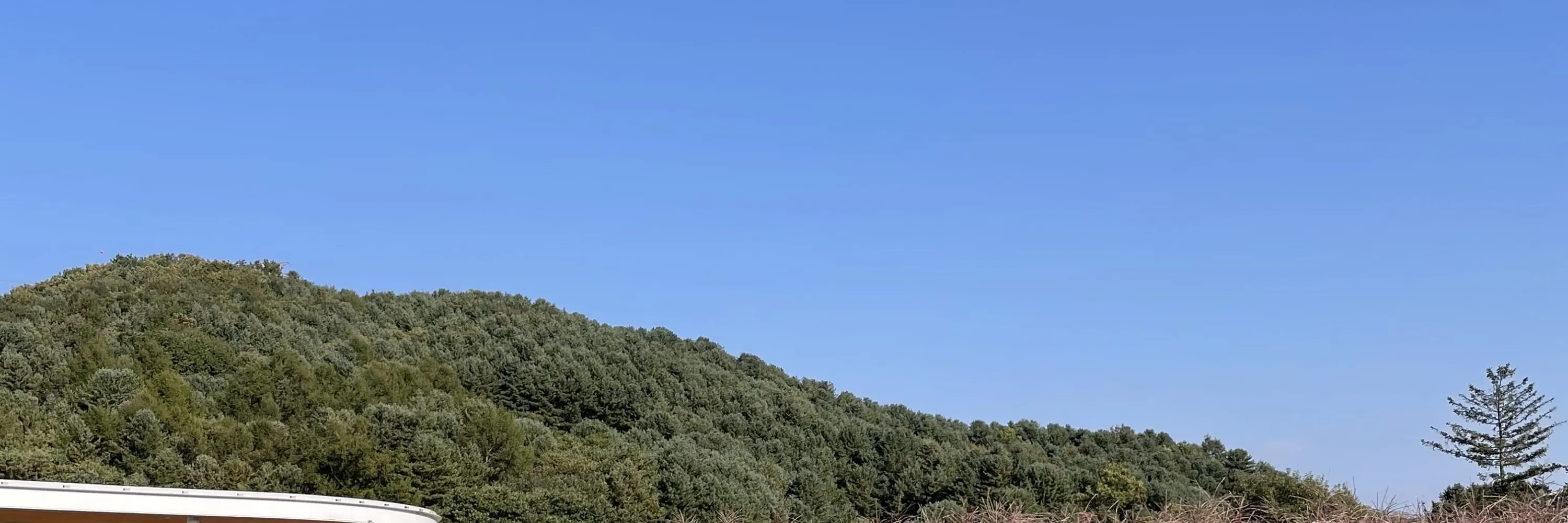 绵羊牧场 Tikcet（羊驼、绵羊、兔子） 京畿道加平