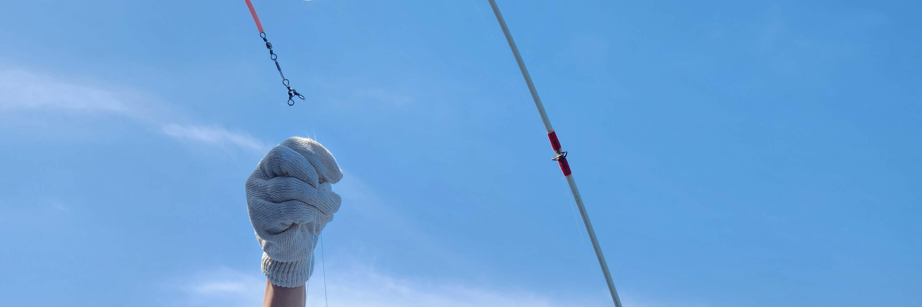 ทัวร์ตกปลาบนเรือในทะเลที่เชจูพร้อมอาหารกลางวัน