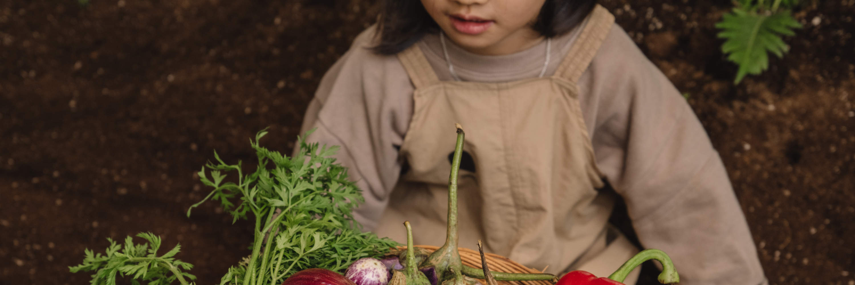 GomawoTOTO: Pengalaman Bermain Tanah di Dalam Ruangan dan Kelas Memasak yang Seru