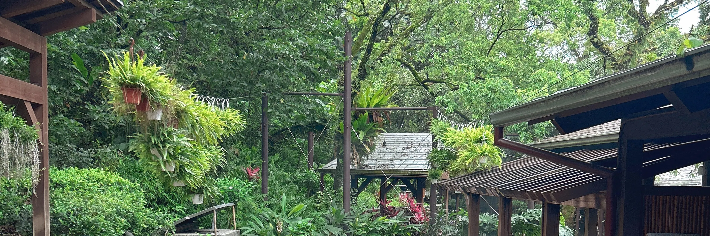 礁溪温泉公园森林风吕