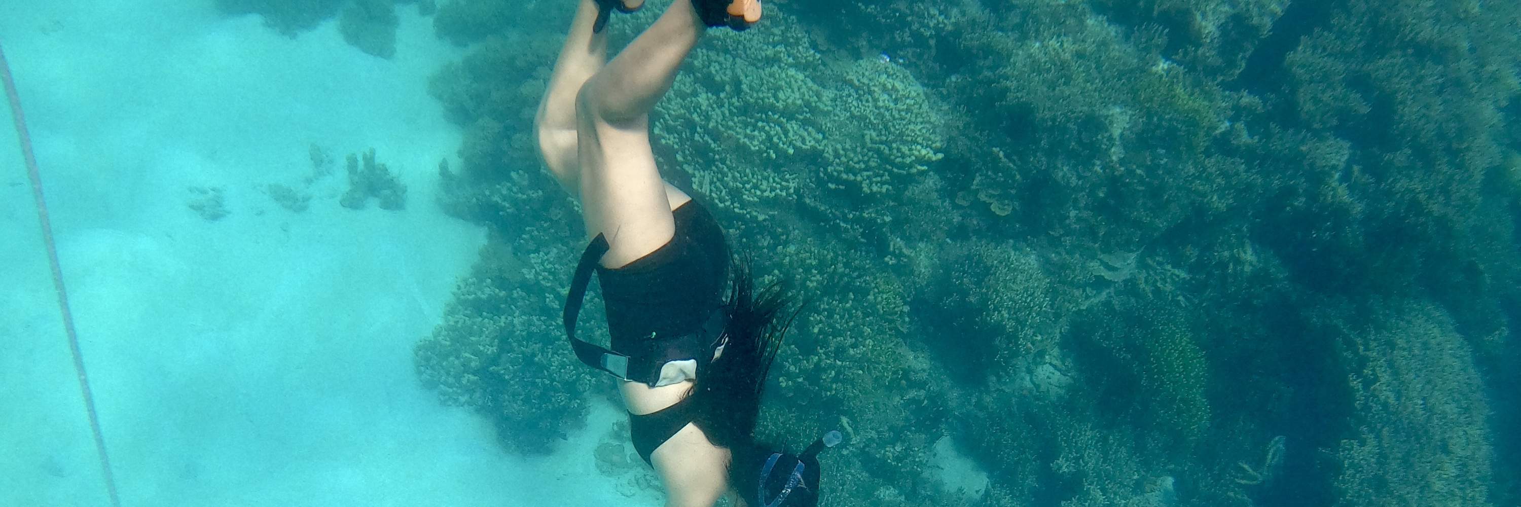 Частный сноркелинг или фридайвинг в Гуаме