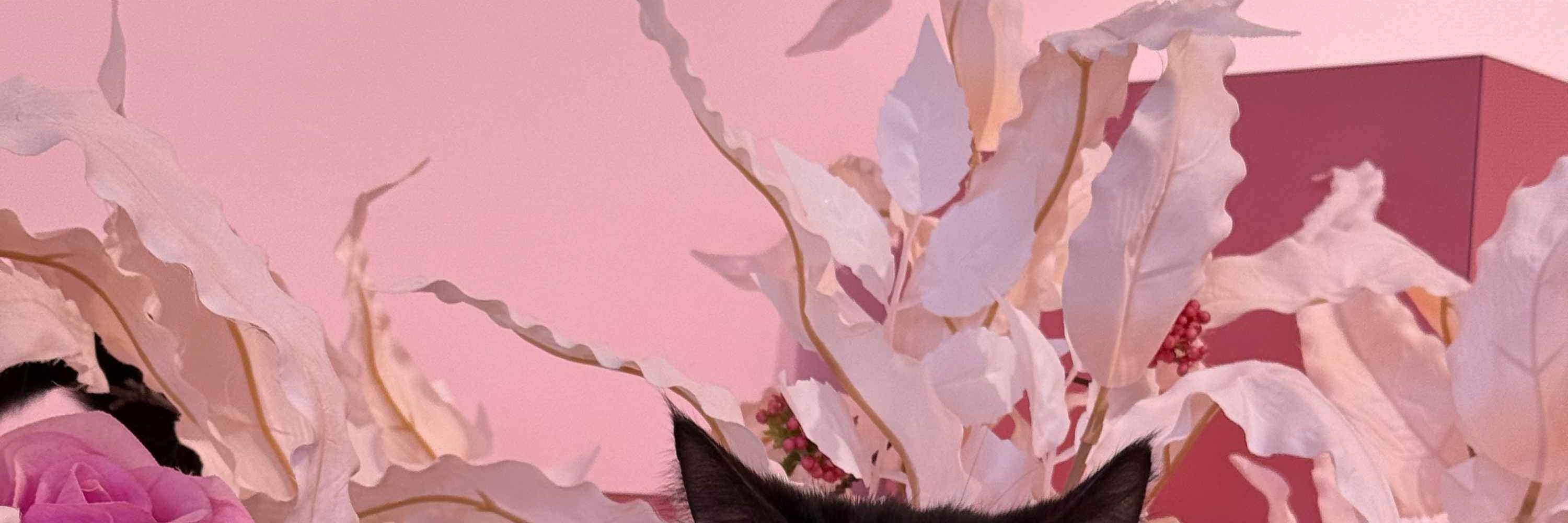 Này các bạn, vui chơi là không thể thiếu đâu nhé! Đi thôi nào!