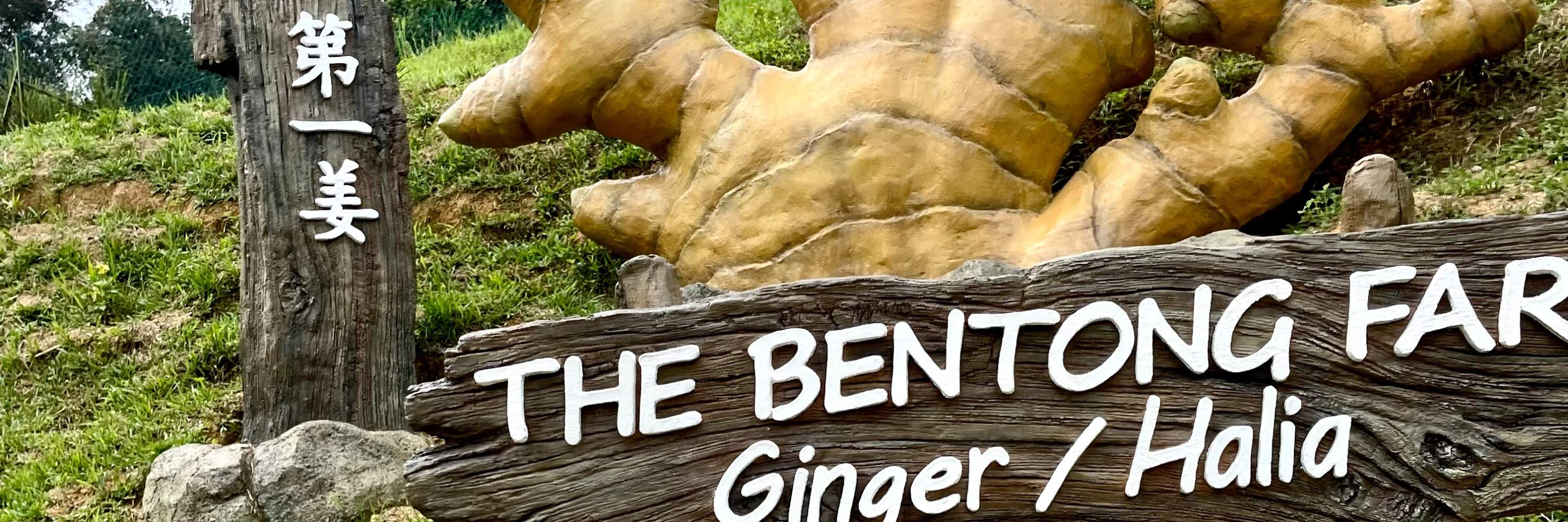 文冬农场，彭亨