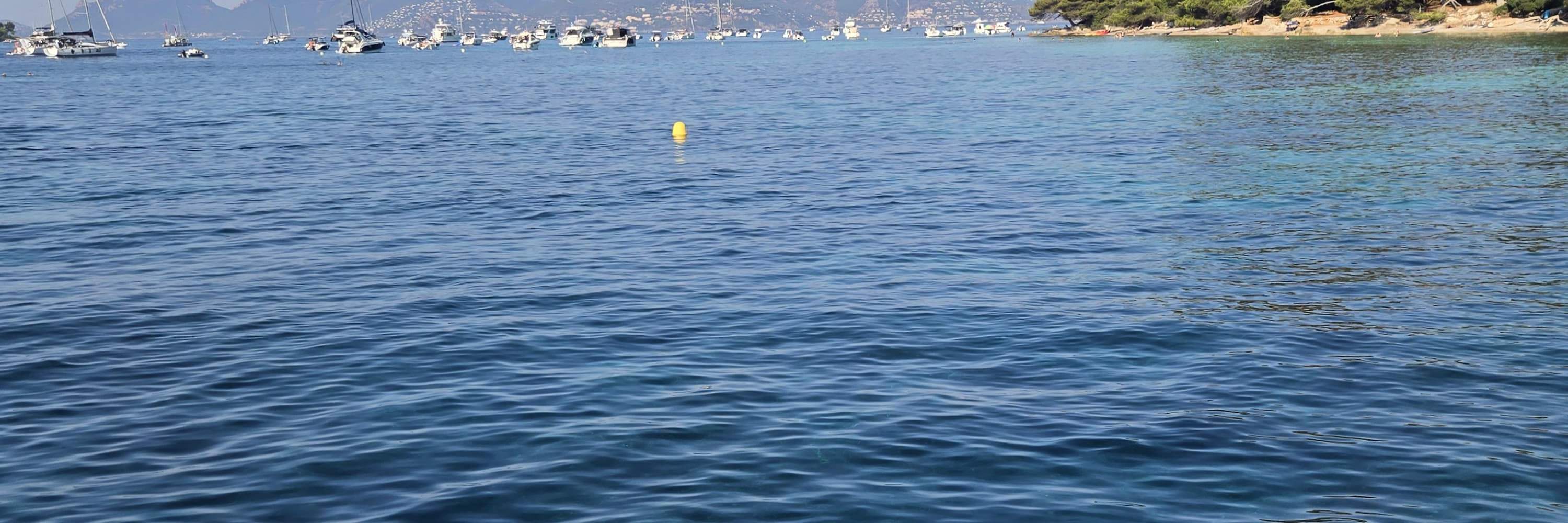 Excursión Privada en Barco Cannes - Isla Lérins y Calas Escondidas 4H