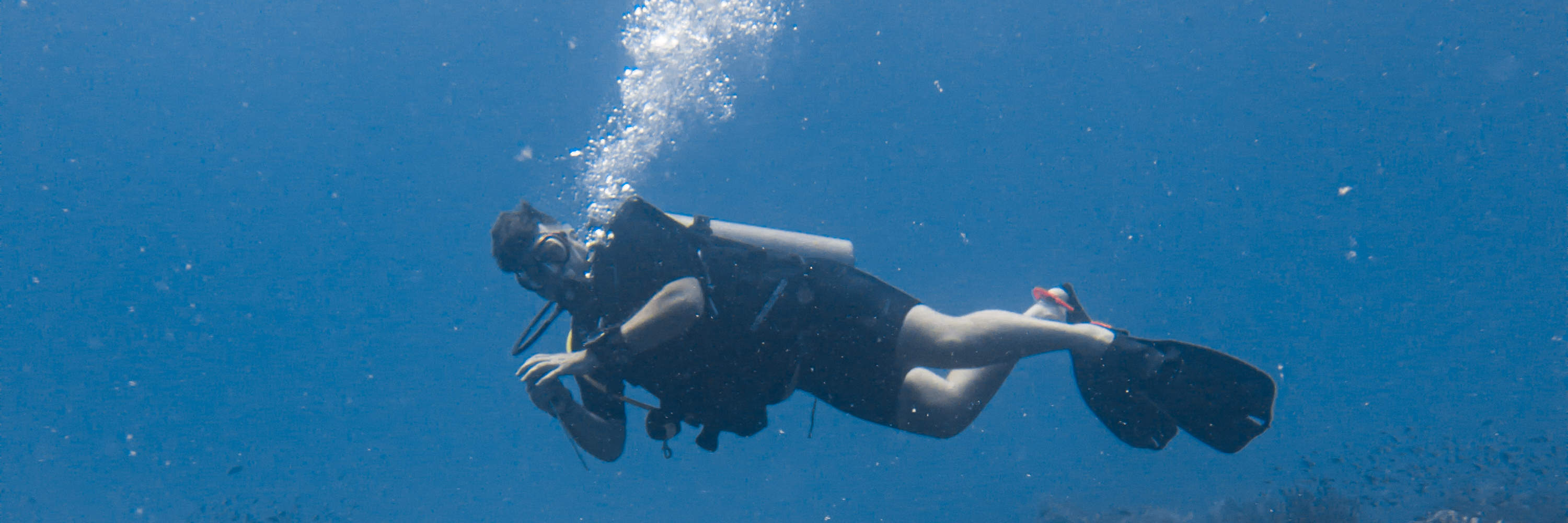 Curso de buceo en aguas abiertas E-learning