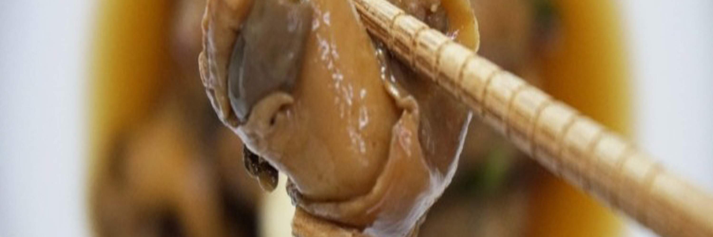 Caracol de mar marinado en salsa de soja