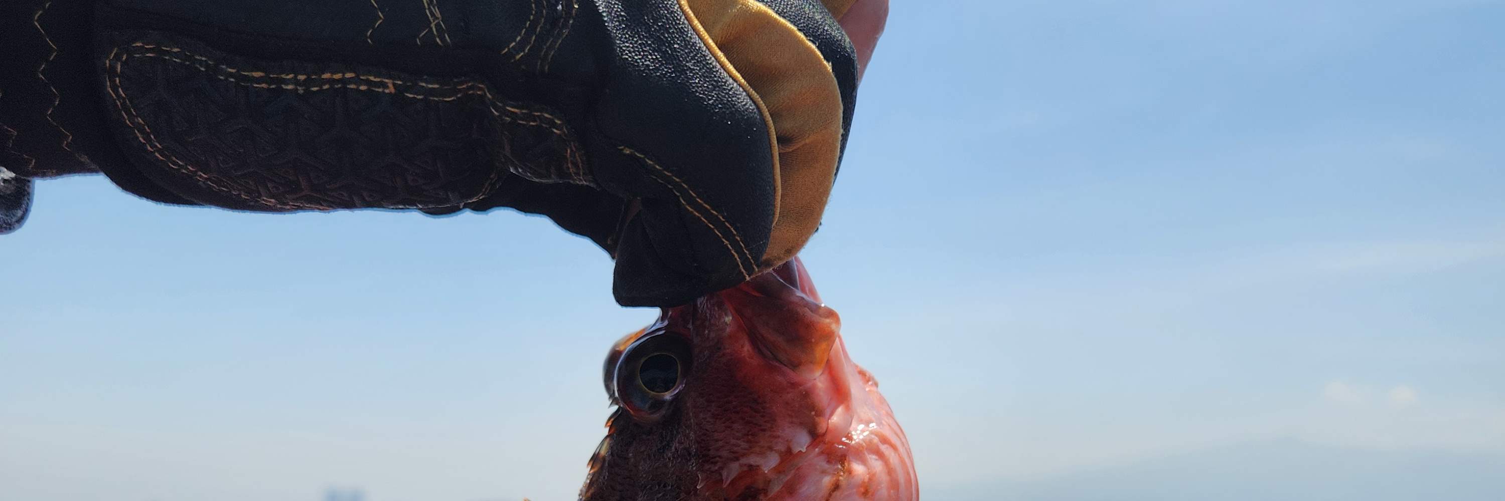 Tour di pesca in barca a Jeju con pranzo incluso