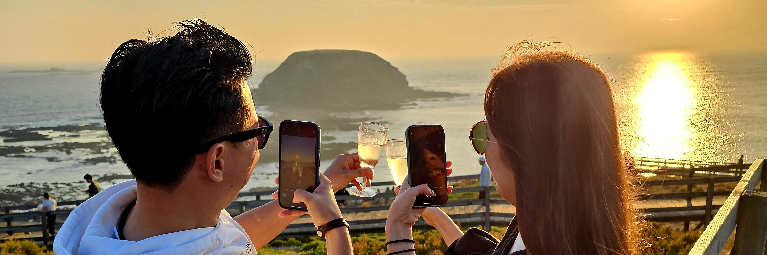 Excursion d'une journée à Phillip Island : vin, faune et pingouins au départ de Melbourne