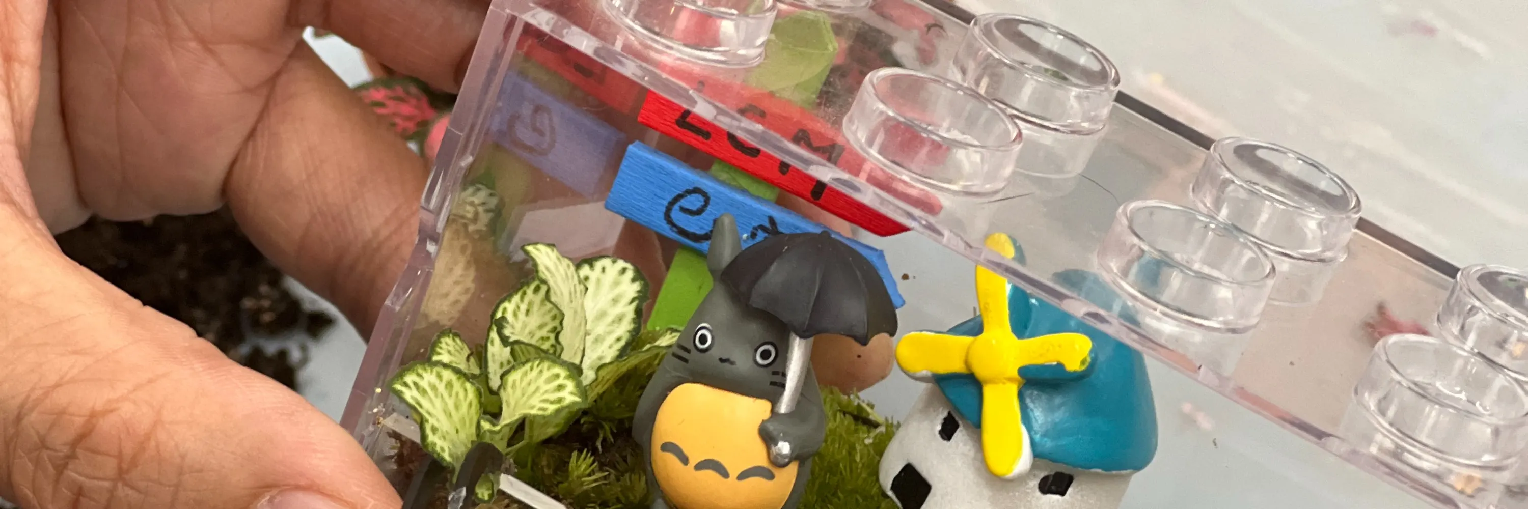 手作班房 - 微景观植物生态工作坊 Mini Terrarium Workshop｜铜锣湾