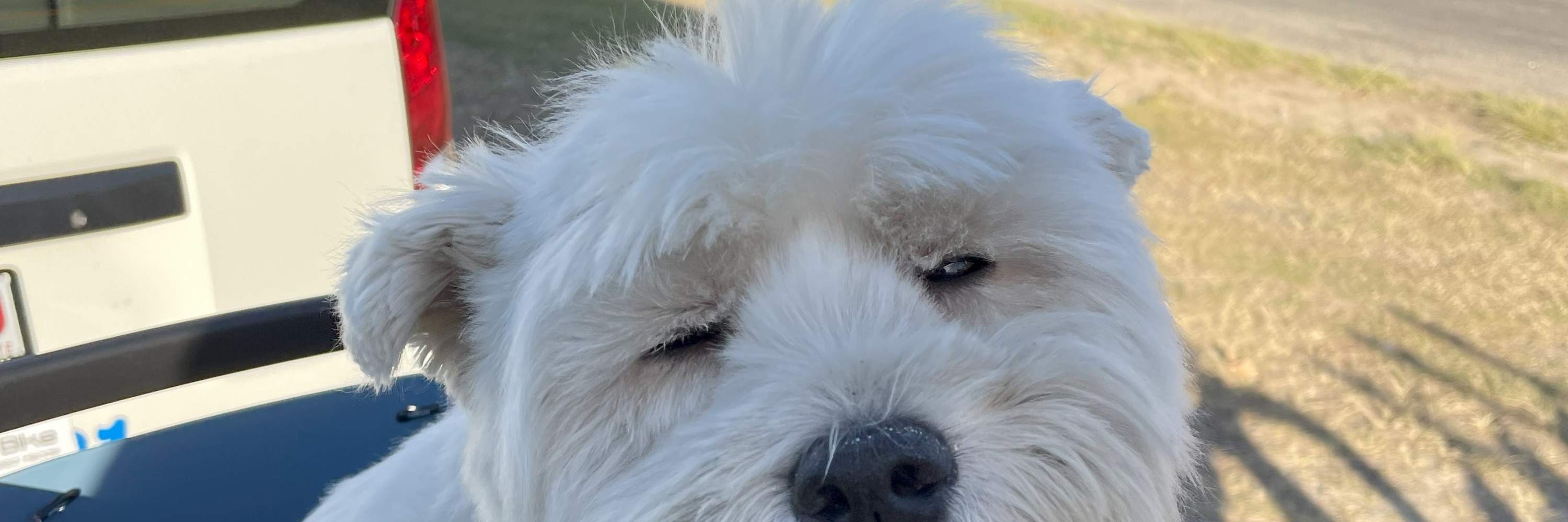 Location de vélos à Byron Bay