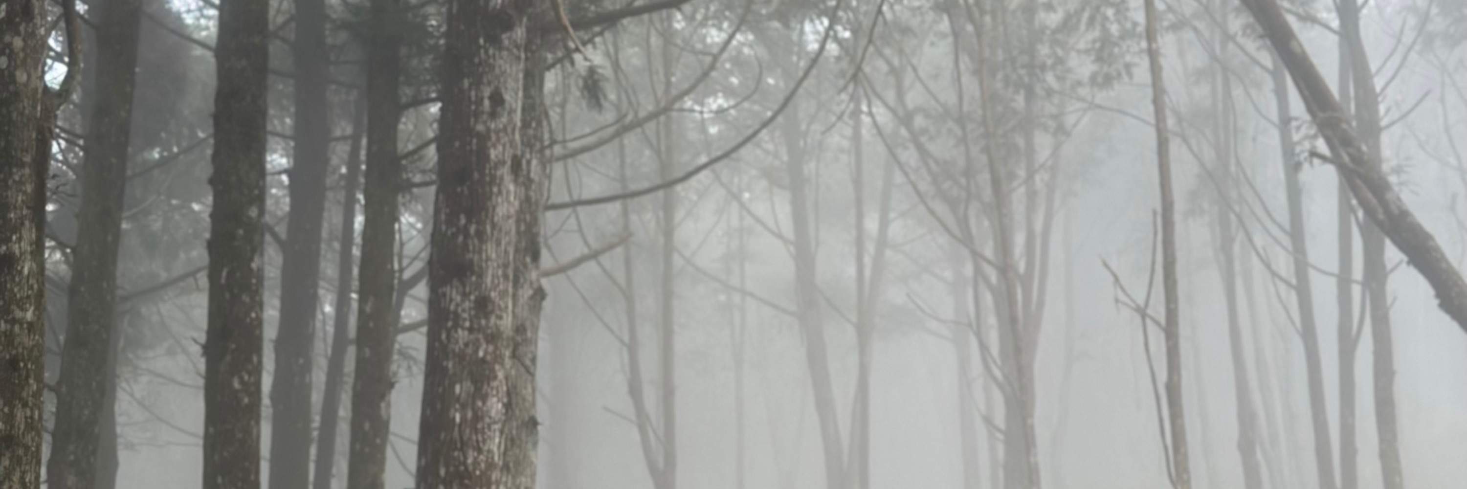 신주 우펑: 뤄산 임도 - 자전거로 천천히 달리기